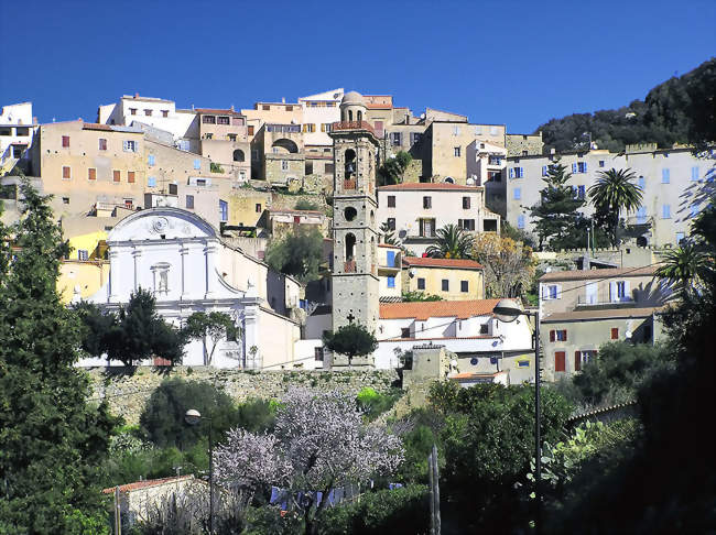 Vue sur Lumio - Lumio (20260) - Haute-Corse