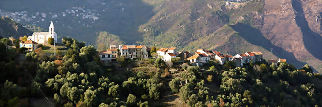 Panorama de Noceta - Noceta (20242) - Haute-Corse