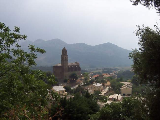 Église de Patrimonio - Patrimonio (20253) - Haute-Corse