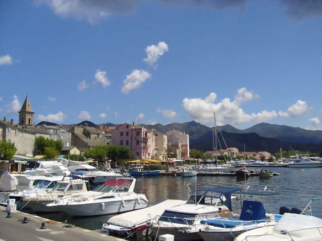 Le port de plaisance - Saint-Florent (20217) - Haute-Corse