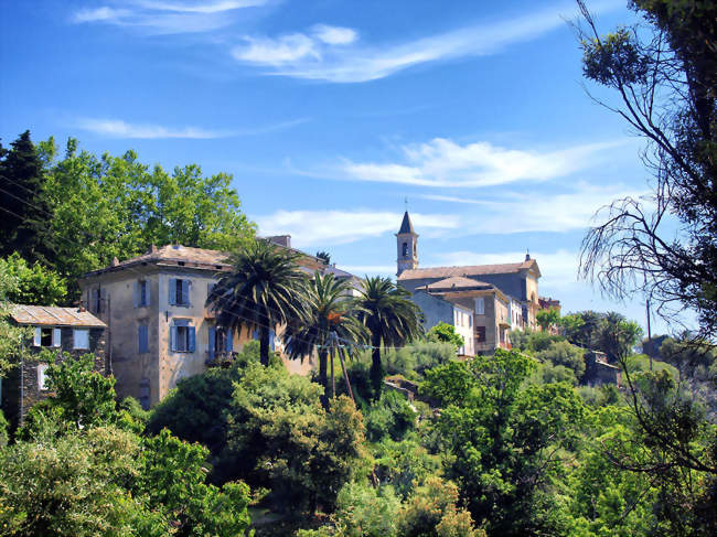 Vue du village de Figarella - Santa-Maria-di-Lota (20200) - Haute-Corse