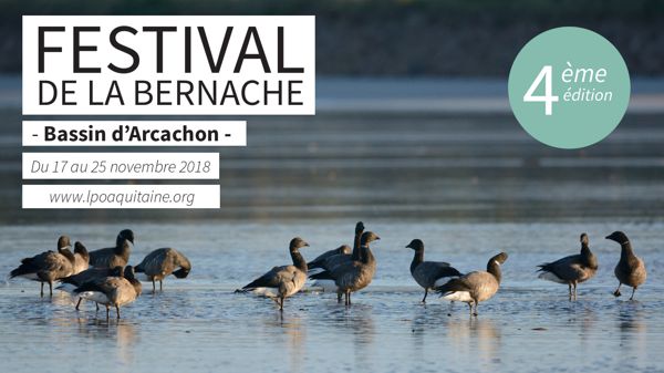 Festival de la Bernache - 4ème édition