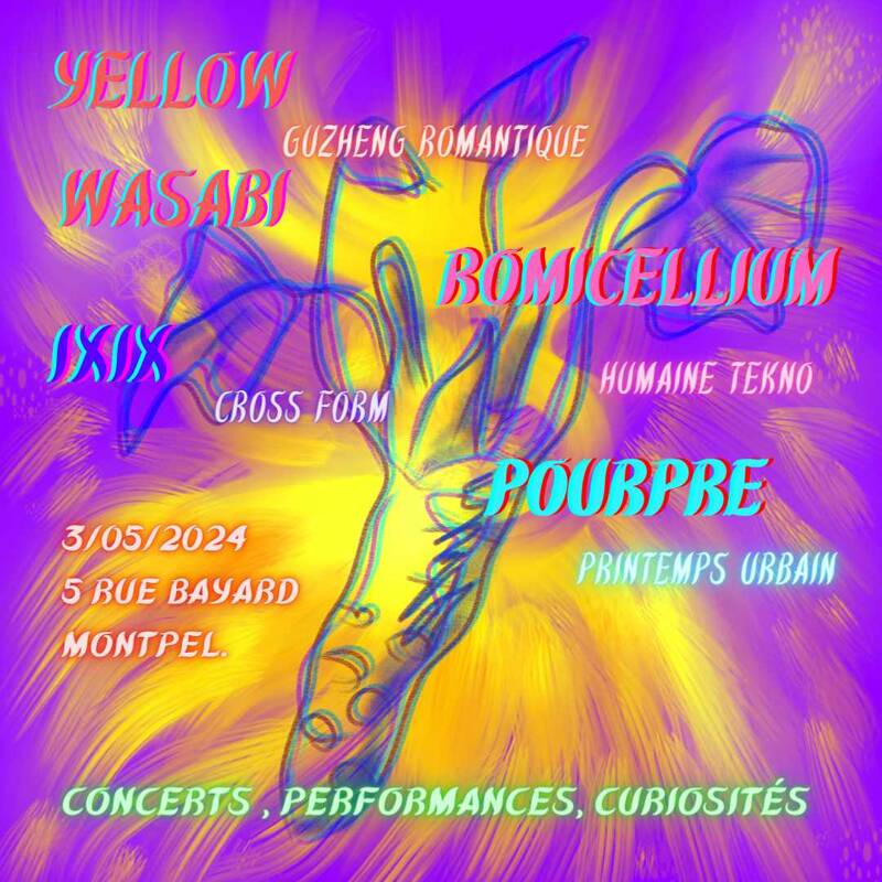 yellow wasabi en concert a montpellier / harpe chinoise et mussique electronique