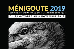 photo Festival International du Film Ornithologique