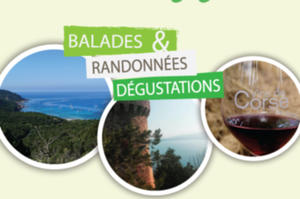 Balades & Randonnées Dégustations en Corse