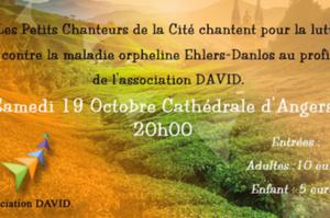 concert des Petits Chanteurs de la Cité à la Cathédrale d'Angers