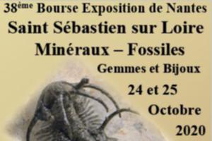 38ème Bourse - Exposition Minéraux, Fossiles et Pierres Taillées ANNULEE