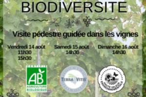 Visite guidée dans les vignes de Rocheville sur la biodiversité