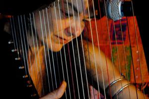 photo Cours particulier de harpe celtique sans solfège à Brocéliande avec LAWENA