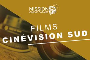 Films CinéVision Sud du 21, 22 et 28  janvier 2021