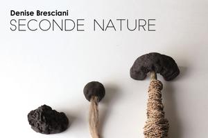 Exposition / Seconde nature / Denise Bresciani