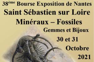 38ème Bourse - Exposition Minéraux, Fossiles et Pierres Taillées