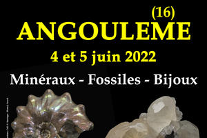 1er SALON MINERAUX FOSSILES BIJOUX d'ANGOULEME (Charentes)