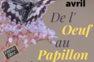 Journée sur les pollinisateurs et les papillons