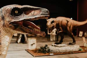 Gouvier Expo : dinosaures, fossiles et préhistoire