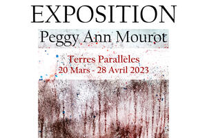 Exposition Peggy Ann Mourot Terres Parallèles