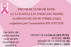 Marche rose dimanche 29 octobre 2023 à la chapelle d'Angillon