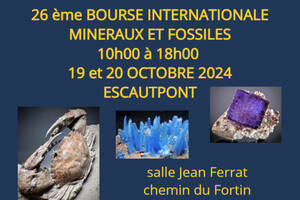 26ème Salon International de Minéraux et Fossiles d'Escautpont