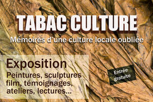 Tabac culture