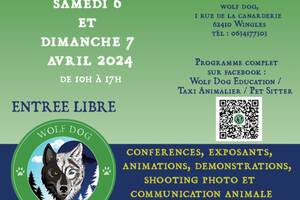 Portes ouvertes wolf dog education taxi animalier pet sitter