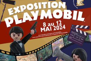photo Exposition Playmobil au château de jallanges près de Tours - Spécial TV-Ciné