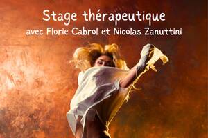 Stage constellations familiales et playfight