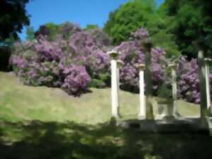Fête des Rhododendrons : Les Rhodos font leur cinéma