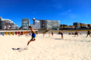 photo Beach Volley - Animations patio central