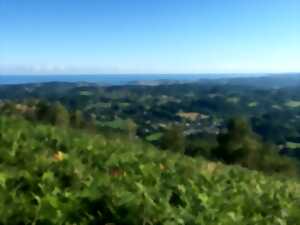 Randonnée : Le sentier des mulets, frontière et contrebande (Sortie en basque)