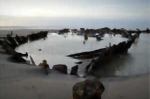 photo Visite guidée - Grandes marées : un spectacle qui se dévoile