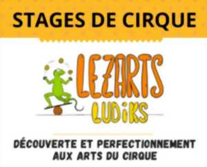 Ateliers des arts du cirque avec Lezarts Ludiks