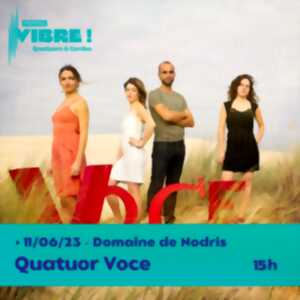 photo Vibre Festival : Quatuor Aviv
