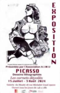 photo Exposition Picasso