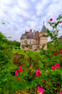 Rendez-vous aux jardins au Château de la Bourdaisière