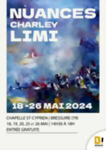 Exposition - Nuances de Charley Limi