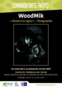 Exposition - WoodMick