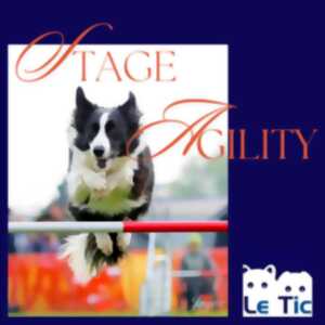 Stage Agility
