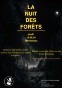 photo La Nuit des Forêts