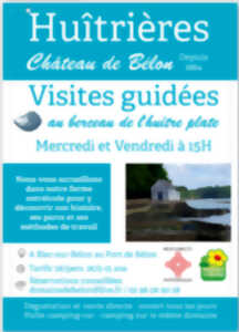 Visite guidée des Huîtrières du Château de Bélon - La Semaine des nos Rias 2024