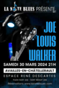 ANNULÉ - Joe Louis Walker en concert