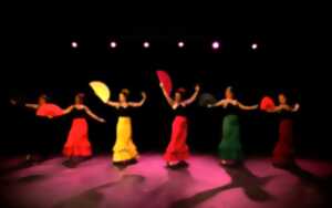 photo Festival andalou 2024 : Spectacle Sueño Flamenco