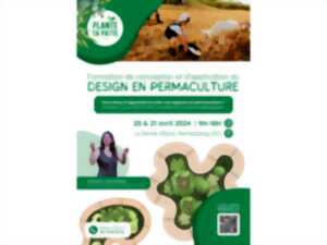 Formation de conception et d'application du design en permaculture