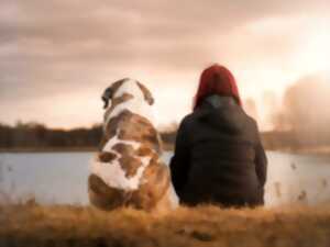 photo Conférence interactive : Le chien et vous
