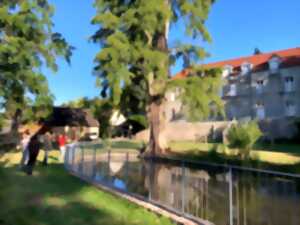 RDV aux jardins : parc du Lycée Gaston Roussillat