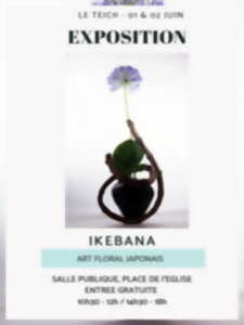 photo Exposition Ikebana