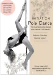 photo initiation au Pole Dance