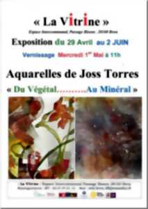 Exposition - Aquarelle de Joss Torres