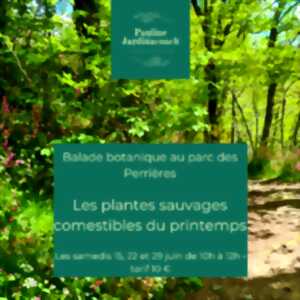 Balade botanique: Les plantes sauvages comestibles du Printemps (Parc des Perrières)