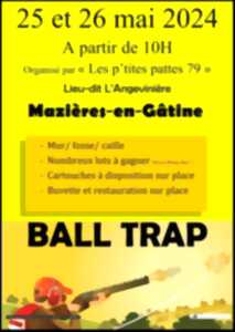 Ball trap