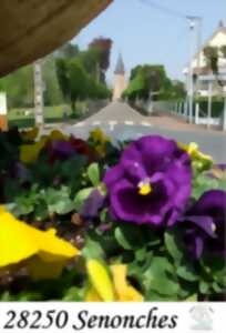 Journée européenne du patrimoine - visite de la ville de Senonches